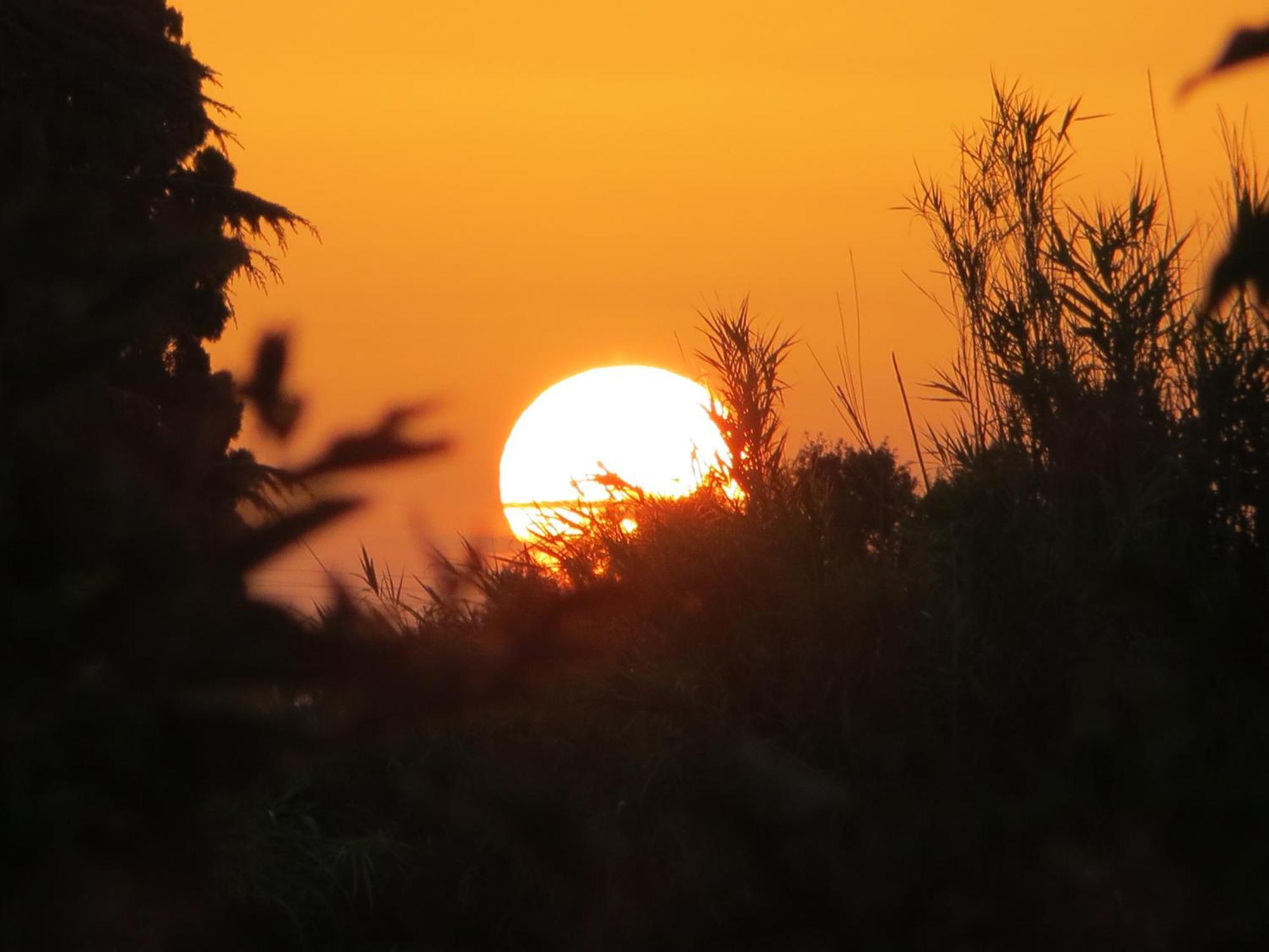 Pian De' Somari Βίλα Πιτιλιάνο Εξωτερικό φωτογραφία